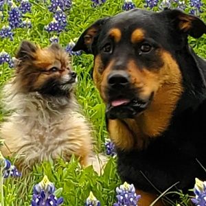 Meet your Posher, Teri